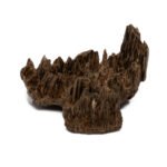 ⁦سيلاني ادمز⁩ - الصورة ⁦2⁩